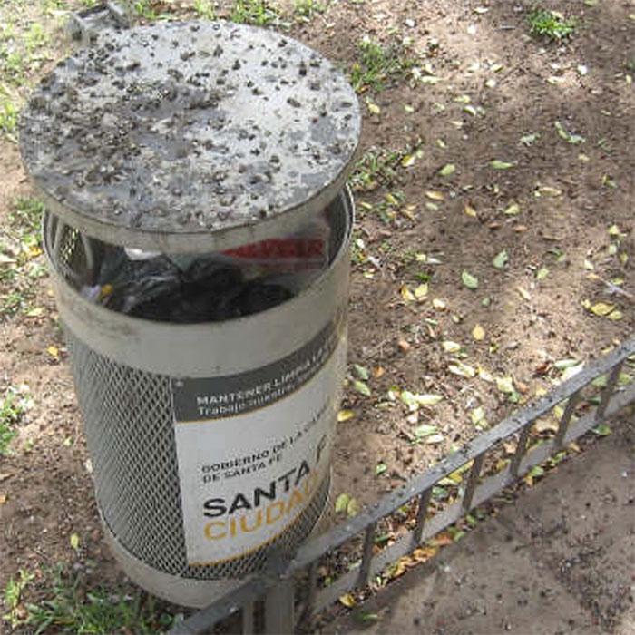 Excremento de palomas cesto basura público - Municipalidad de Santa Fe
