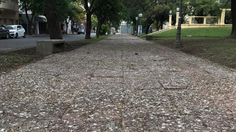 Excremento de palomas en veredas de Plaza Constituyentes